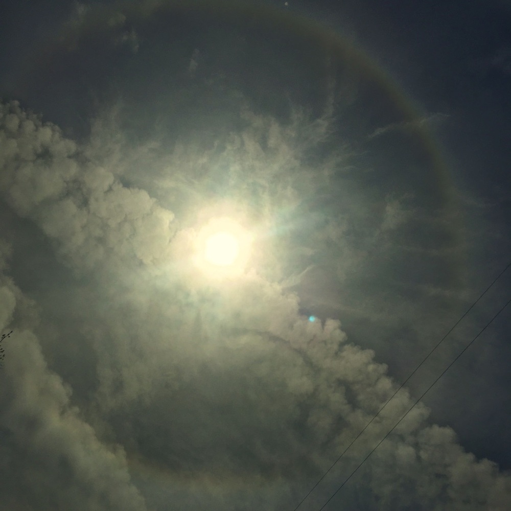 Meet your Posher, Whitney - Picture 8 of 13